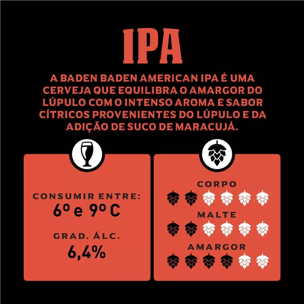 Cerveja American Ipa Lata 350ml Pack 6 Unidades Baden Baden - Imagem 2